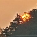 바다솔향기 민박 이미지