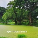 명옥헌민박 이미지