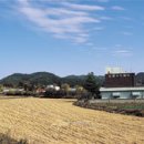 순흥척화비 | 경북 순흥