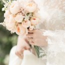 모닝스타 이미지