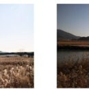 순천만둥지 이미지