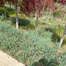 모장경로당 이미지