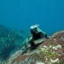 수복강녕 이미지