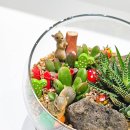 샘물어린이집 이미지