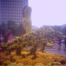 삼성빌딩 이미지