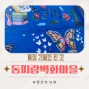 통영 동피랑 벽화마을 다녀온 후기 통영 가볼만 한 곳 주차장 카페 위치 정보