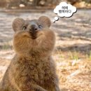 곱창언니 쭈꾸미오빠 | 3월 2주, 진짜 바빴는데 만날 사람은 다 만났네..?