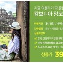 (주)여행이필요해 이미지