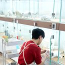 서울애견 이미지