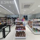 도그어게인 | 대구강아지분양 도그어게인 친절하고 전문적인 곳