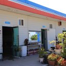 농어바위 이미지