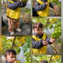 윤재농장 네이버블로그