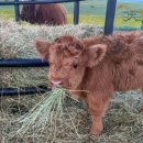 신림작은목욕탕 | 인생에 정답은 없고 선택만 있다. (2025 상반기 모음.zip)