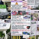 반포한강공원 | 반포한강공원 피크닉 한캉스에서 텐트 돗자리 대여 후기
