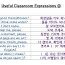 Useful Classroom Expressions 이미지