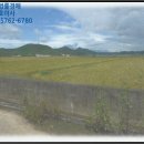사리골천 네이버블로그