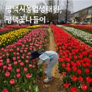 오성초등학교 주변 | 평택 농업생태원 튤립 축제 꽃나들이 기간 텐트 정보
