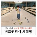 재재버드&하루꽃 | 2세, 4세 아기랑 거제 여행 갈만한 곳 거제 동물원 먹이 체험 버드앤피쉬 재재재방문