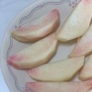 천중농장 이미지