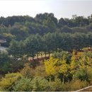 광교갤럭시공인중개사사무소 이미지