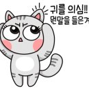 안산동물병원 이미지