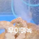 백합풀빌라 이미지