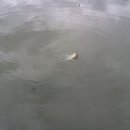 송현낚시터 이미지