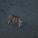 황덕도항 이미지