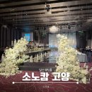 고양아, 안녕? | 소노캄 고양 그랜드볼룸 웨딩홀 하객 식사 후기