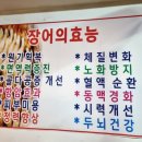 대왕참숯불민물장어