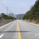 명품소나무길 이미지