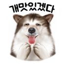 거제대영수산