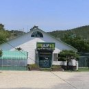 안계미나리농장 이미지