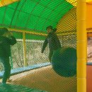 대장나무숲놀이터 이미지