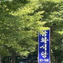 금화애견 이미지