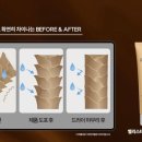 워시벨리 이미지