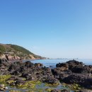 칠포2리 이미지