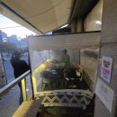 불광천길 | 불광천 산책후 애견동반 맛집 베이직후라이드치킨 솔직후기