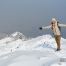 계란값의 역사와 계란음식 이미지