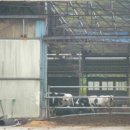 소은목장 이미지