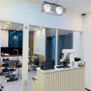 도그살롱바른핏 이미지