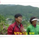 접정 농장 Daum카페