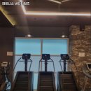 피트니스바디타임즈