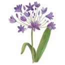 와이헤어샵 이미지