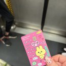 ㈜한국교통(마을버스) | 옥토퍼스 카드없이 홍콩 대중교통 이용후기 (2층버스,지하철,트램)