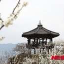 마을정자 이미지