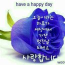 (주)보람여행사 이미지