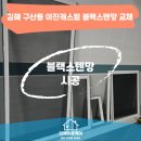 이진캐스빌2단지노인회 | 김해방충망 구산동 이진캐스빌 블랙스텐망 교체 후기｜날벌레 유입 해결