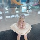 신아중학교 | [2026.7.11~12,영천]조동친구랑 물놀이 여행(더랜드관광호텔, 레이틀리92하양점, 보현산녹색체험터)