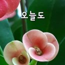 시어삼보 (時於參步) 이미지